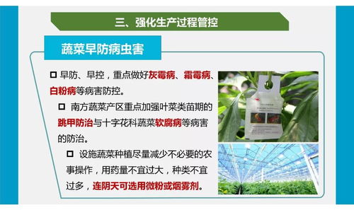 疫情防控下农产品质量安全与网络游戏产品经营双轨操作指南